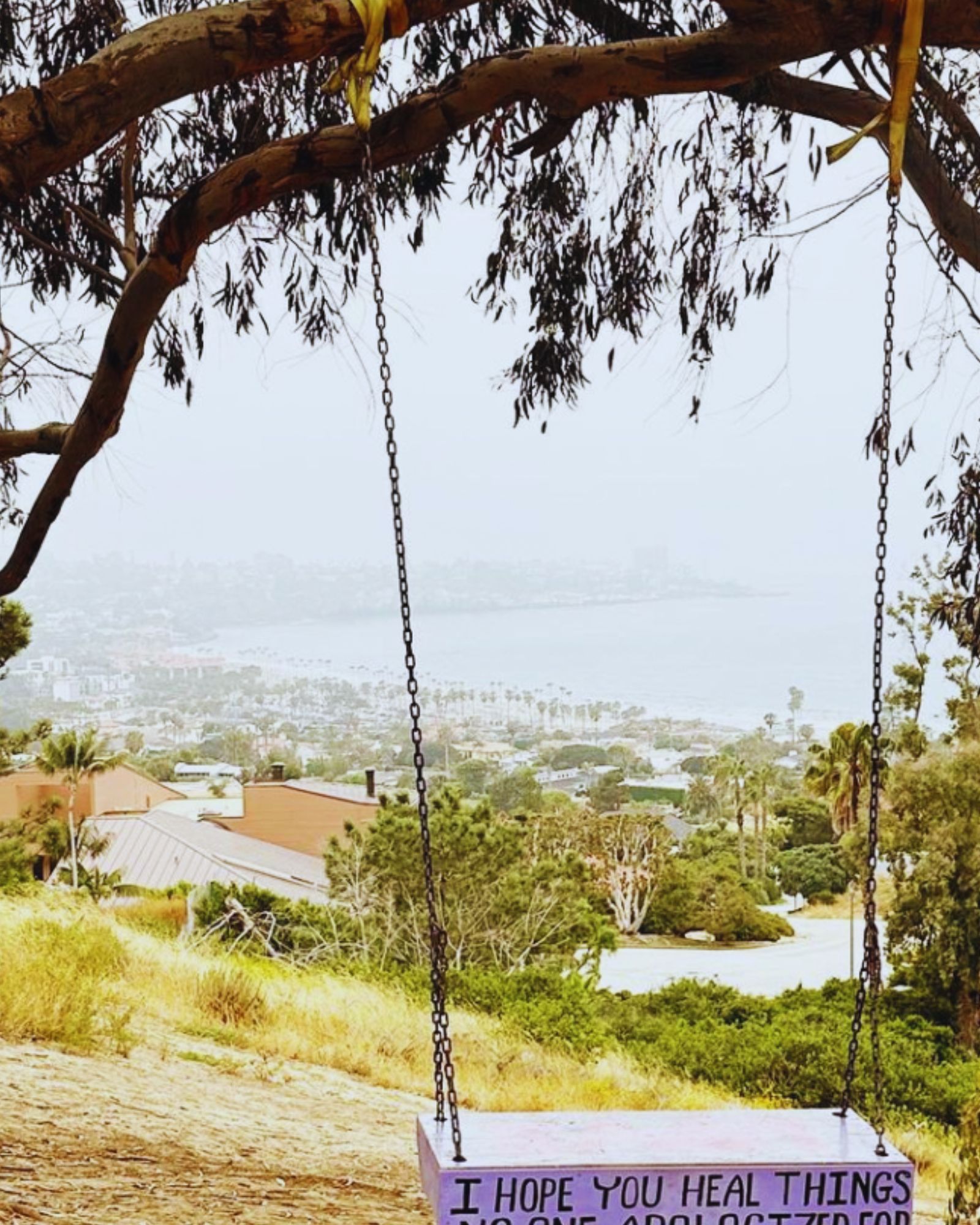 La Jolla Swings In San Diego (Everything To Know)