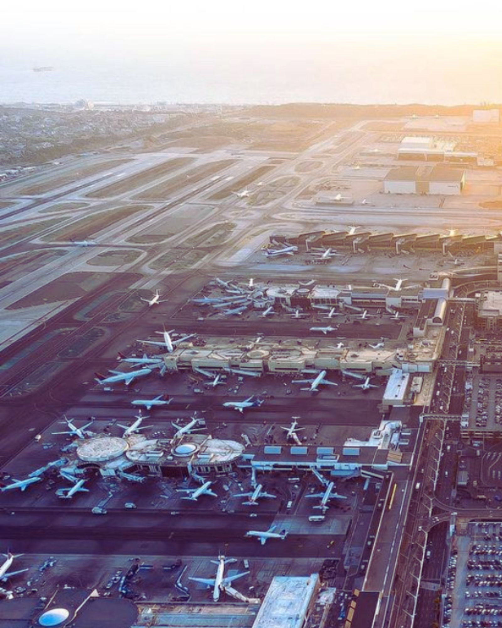 What To Do In LAX For 6 Hours? (Simple Tips)