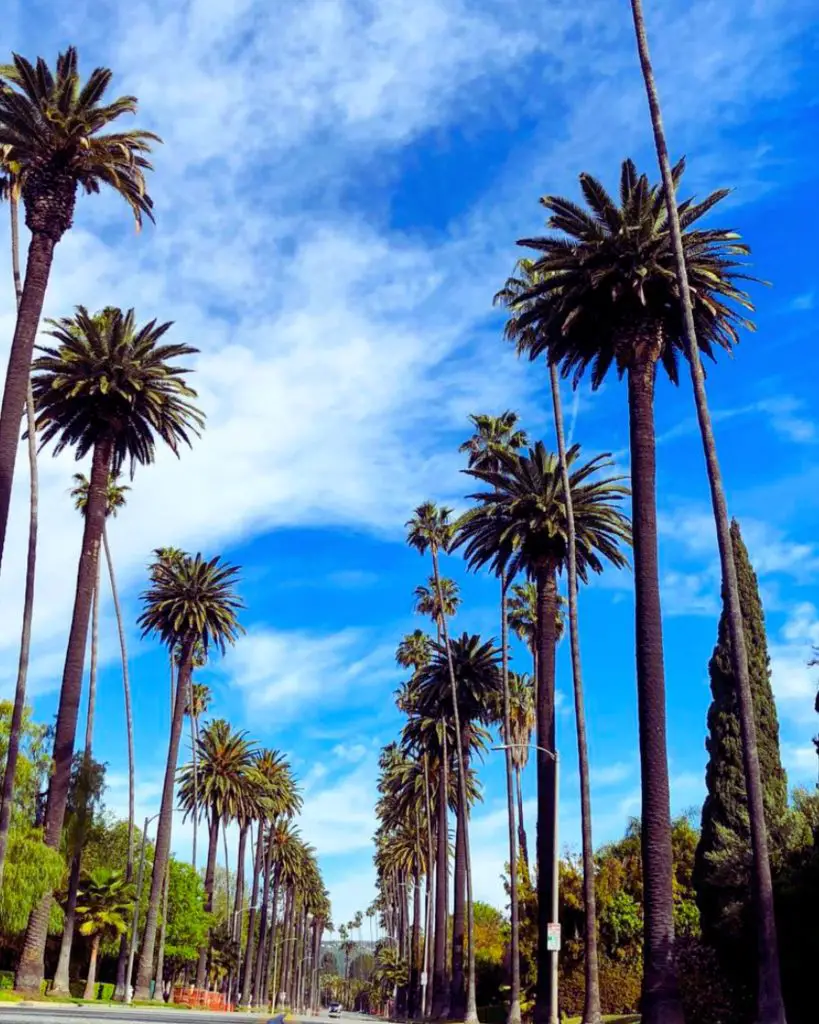 Rooftop Brunch In Los Angeles (Our Favorites)