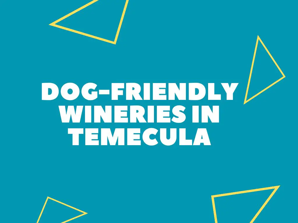 DogFriendly Temecula Wineries (Our Favorites)