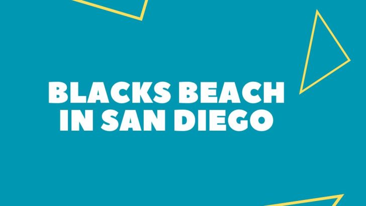 Black’s Beach In San Diego (Everything To Know)