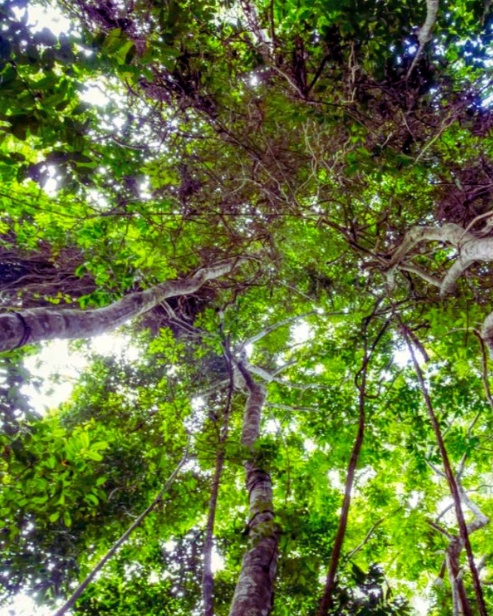 17 Pros And Cons Of Moving To Ghana (Expat Advice)