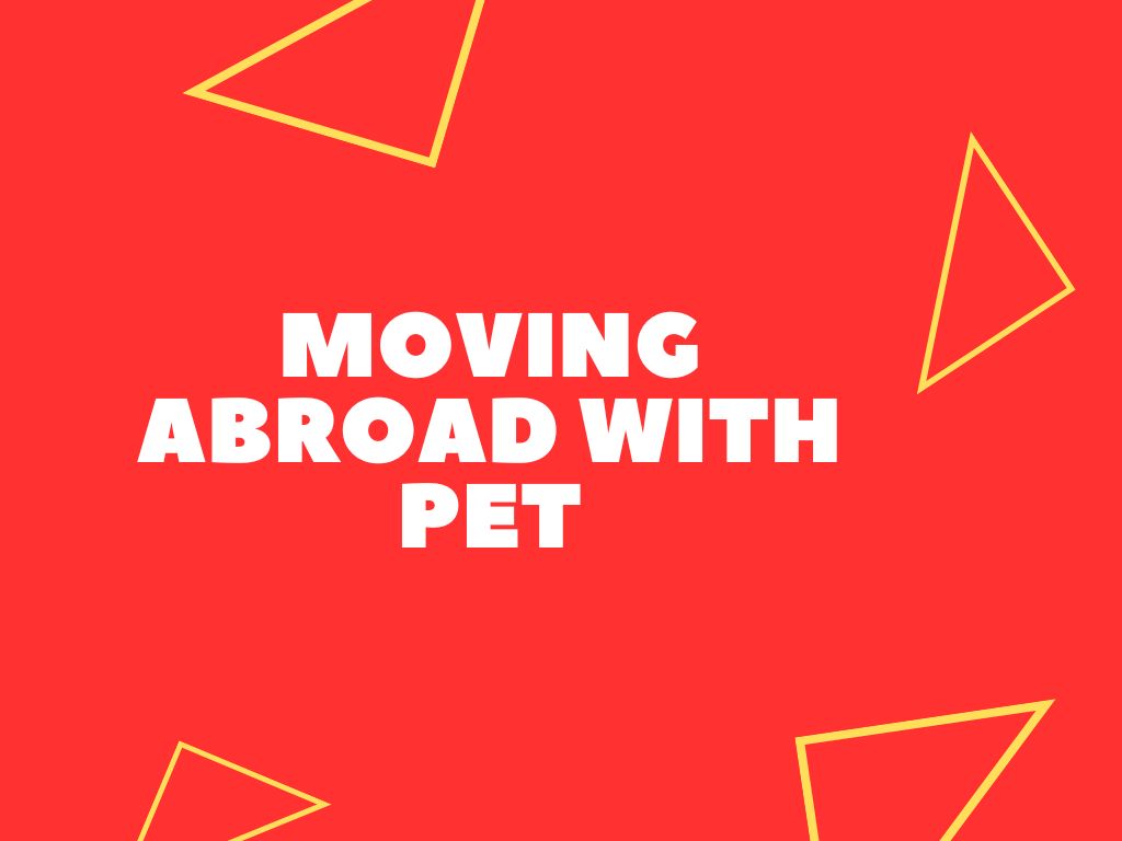 Moving Abroad With Pets Expat Advice   White Travel Tips Presentation 53 