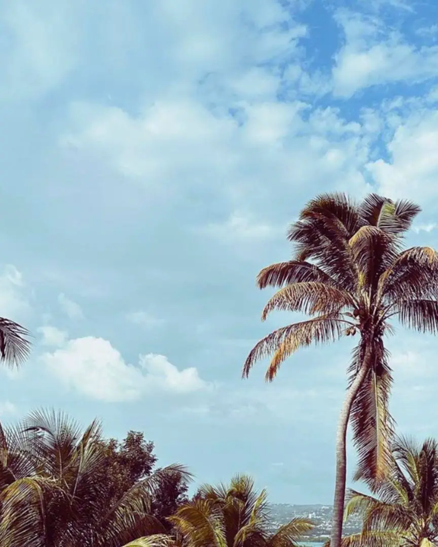 Best Places To Live In Jamaica (Expat Approved)