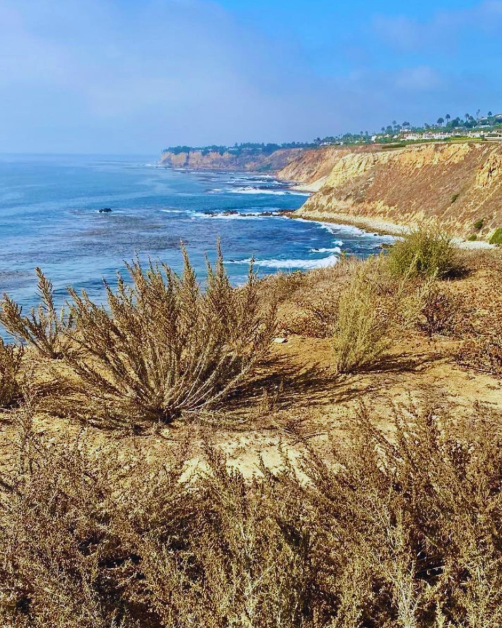 7+ Best Palos Verdes Hikes (Local Advice)