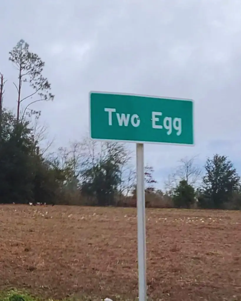 Two Egg In Florida (Local Guide)