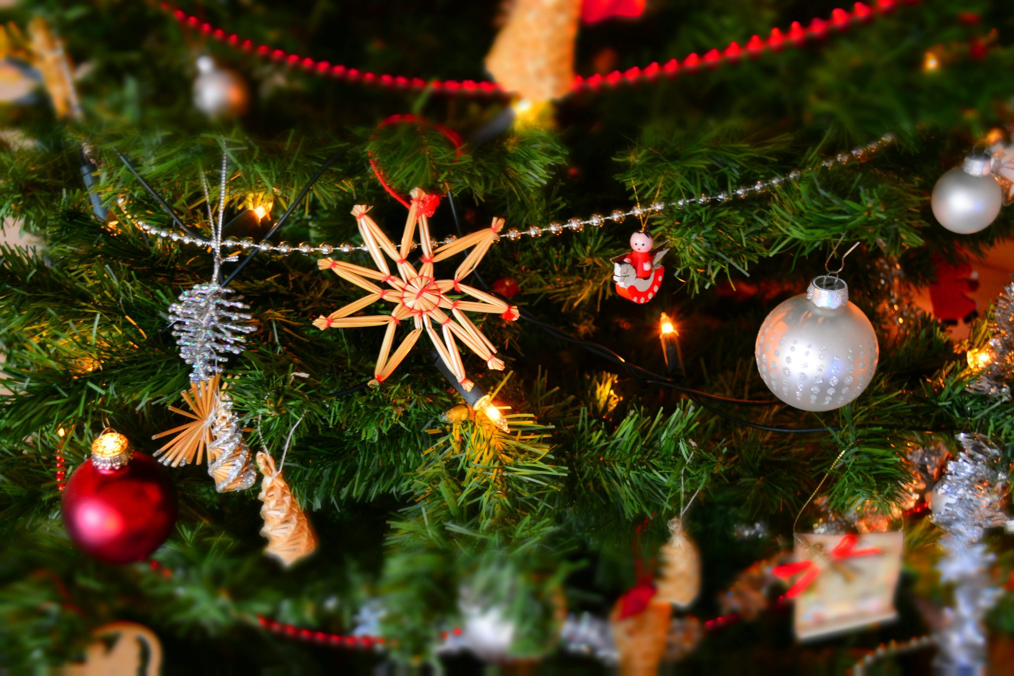 13 Fun National Lampoon's Christmas Vacation Party Ideas For You ...